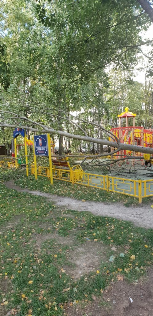 Во дворе дома 5, корпус 1, по улице Шостаковича дерево упало на детскую площадку.